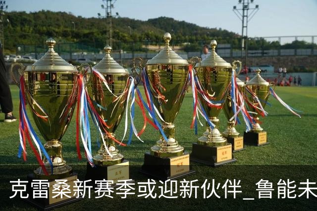 克雷桑新赛季或迎新伙伴 鲁能未来充满希望